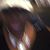 Sandra Ross's profile image