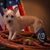 Kerri Monroe's profile image