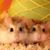 Corinne White's profile image