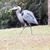 Martha Keefer Moulder's profile image