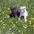 Diane Watters's profile image