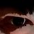 Rita Hartman Gillette's profile image