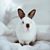 Edda Briggs Thiele's profile image