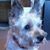 Mari Weisensel's profile image