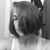 Kristin Morgan's profile image