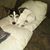 Joann Routh's profile image