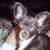 Minda Waldridge's profile image