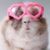 Aren Ginsberg's profile image