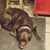 Fawntay Cooper's profile image
