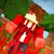 Matheus Amorim Ferreira's profile image
