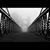 Barbara Westerfeld Kirkpatrick's profile image