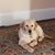 Kim Chaffee's profile image