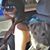 Crystal Freeman's profile image