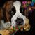 Delisa Brooks Long's profile image