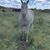 Kathy Chance's profile image