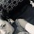 Alexandria Belotti's profile image