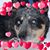 Janet Makowski's profile image