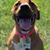 John W Ruswick's profile image
