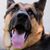 Alyssa Goodwin Meyer's profile image