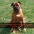 Jamie Parman Barrett's profile image