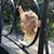 Amanda Gordon's profile image