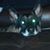 Ryan D Bierley's profile image