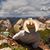Ross Clover's profile image