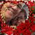Nancy Dickie's profile image