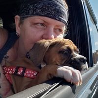 Julie Abram Webb's profile image