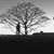 Charles Forkner's profile image