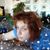 Giulia Montanari's profile image