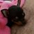 Tena Dustin Delatorre's profile image