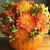 Lorraine Roberts Jones's profile image