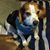Lynn Albright's profile image