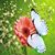 Jacqueline Martin's profile image