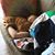 Rachel Houck's profile image