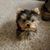 Cheryl DeWitte Ramirez's profile image
