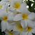 Wendy Ladek-Hicks's profile image