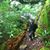 Hillery McAlpine's profile image