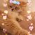 Tami George's profile image