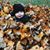 Karen Williams's profile image