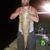 Timothy Morris's profile image