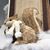 Bruce Robinson's profile image