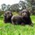 Eduardo Restrepo's profile image