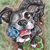 Dave Borgman's profile image