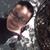 Desiree Lynn Churchill's profile image