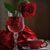 M K Khan Khan's profile image