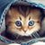 Conita Grigsby's profile image