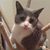 Heidi Delacruz's profile image