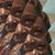 Dreik Johnson's profile image